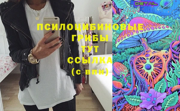 apvp Алзамай