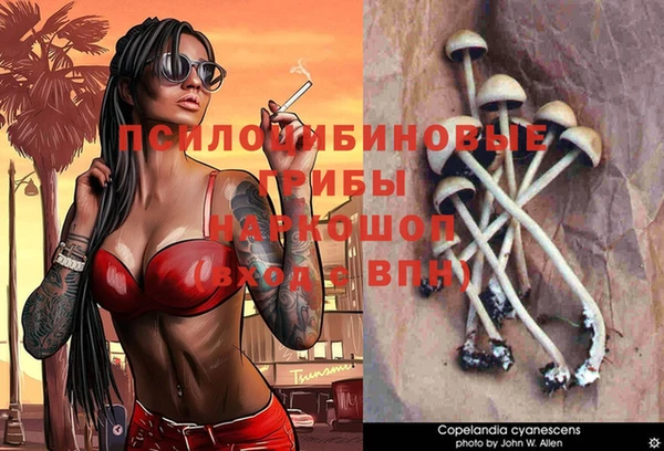 кристаллы Абаза